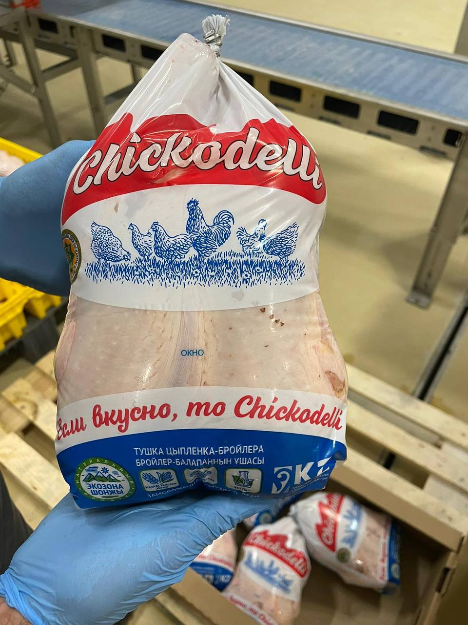 Наш новый клиент запаковал первых бройлеров выращенных из нашего яйца