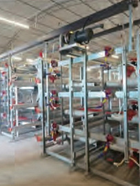 Система клеточного содержания  FBD200