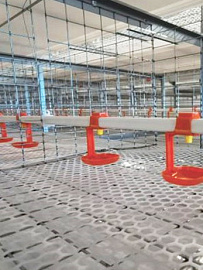 Система поения