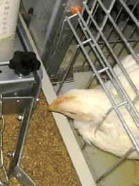 Система питания